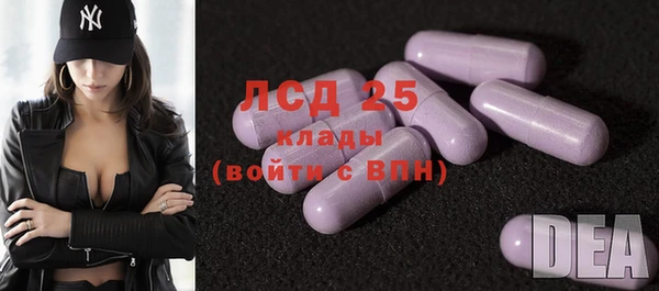 амф Богданович