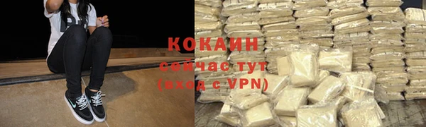 амф Богданович