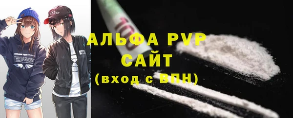 амф Богданович