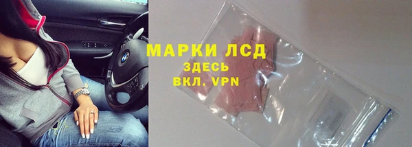 амф Богданович