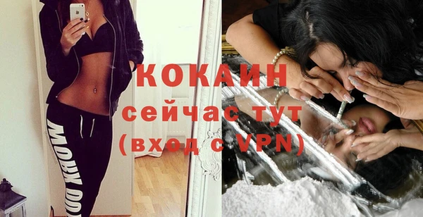амф Богданович