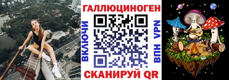 Галлюциногенные грибы Psilocybe  Купить где  Приозерск 