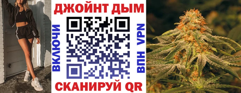 Купить закладки  Приозерск  Канабис сатива 